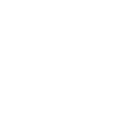 Grow revenue icon