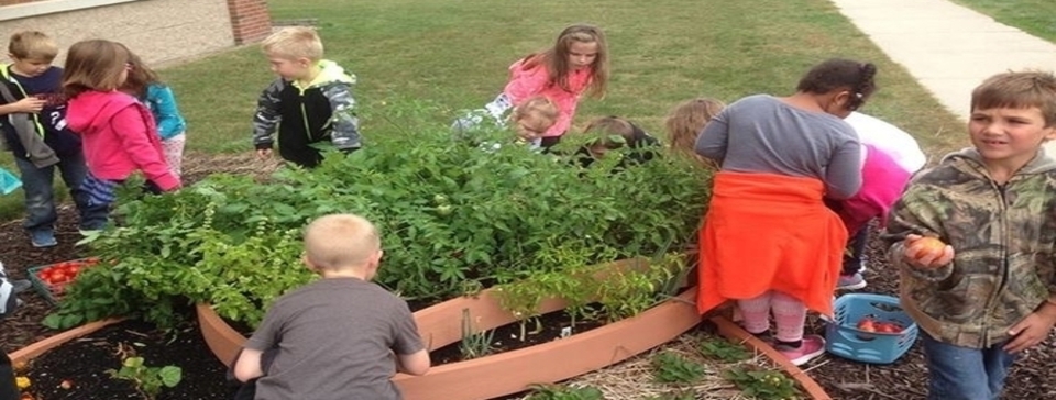 Elementary garden